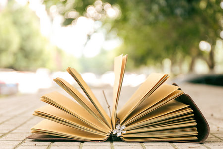 青島科技大學非全日制研究生報考條件