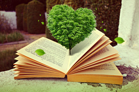 中國礦業大學(北京)MBA報考條件2025年