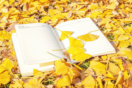 中國計量大學MBA報考條件及流程2025年