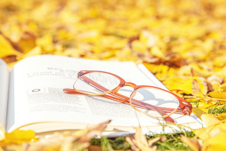 齊齊哈爾大學非全日制研究生報考條件及流程 齊齊哈爾大學非全日制研究生報考條件及流程