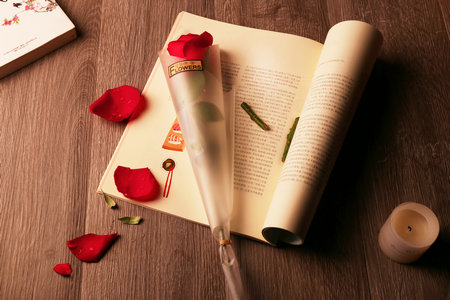 長春工業(yè)大學(xué)MBA報考條件及流程