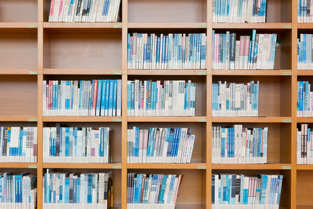 北華大學同等學力申碩報考條件及流程2025年