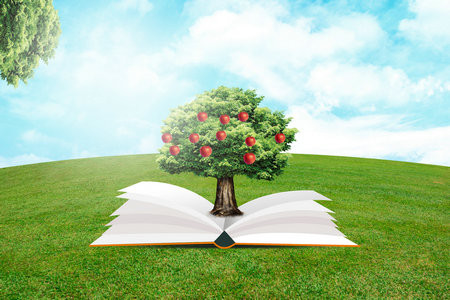 法國克萊蒙高等商學(xué)院國際博士認(rèn)可度怎么樣？