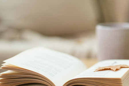 法國(guó)亞眠高等商學(xué)院國(guó)際碩士報(bào)考條件及流程2026