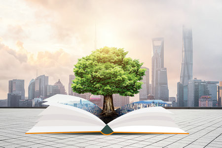 2026美國(guó)印第安納大學(xué)國(guó)際博士考試考什么科目？