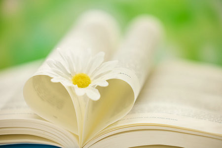 2026美國(guó)卡羅爾大學(xué)國(guó)際博士考試考什么科目？