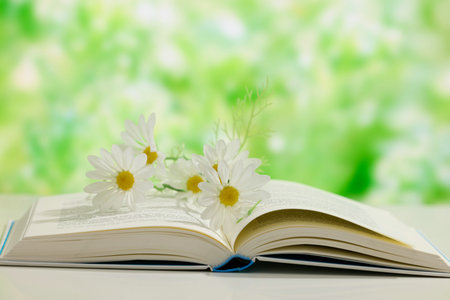 西班牙武康大學(xué)國際碩士考試科目 西班牙武康大學(xué)國際碩士考試科目