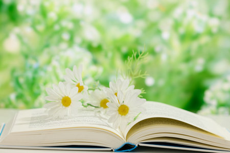 湘潭大學同等學力申碩考試科目 湘潭大學同等學力申碩考試科目