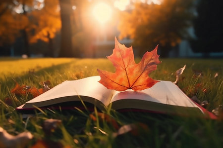 香港都會(huì)大學(xué)國際碩士考試科目