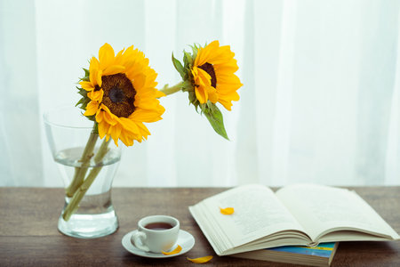 西南民族大學MBA考試考什么科目 西南民族大學MBA考試考什么科目