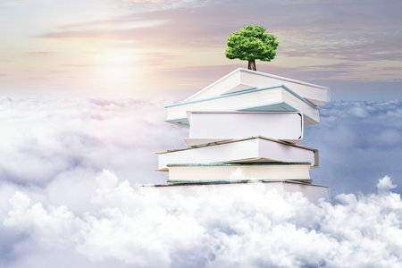 福建師范大學非全日制研究生考試成績查詢流程 福建師范大學非全日制研究生考試成績查詢流程