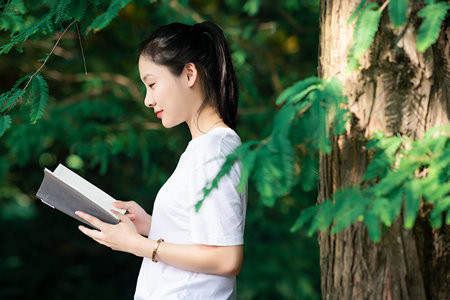 石家莊鐵道大學(xué)MEM成績啥時候出來,怎么查詢?