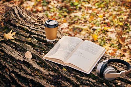 如果上海大學(xué)MPAcc成績(jī)沒過國家線怎么辦?