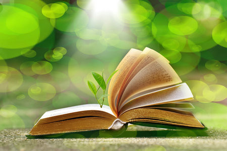 長(zhǎng)江大學(xué)MEM的成績(jī)什么時(shí)候出?