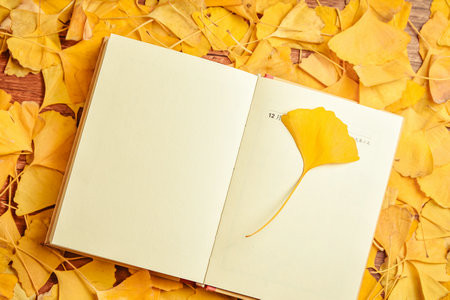 長安大學MBA分數線多少？