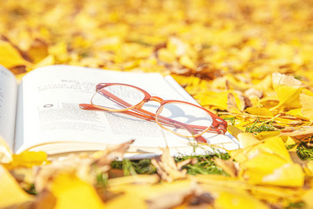 上海理工大學(xué)MEM分?jǐn)?shù)線什么時候出？