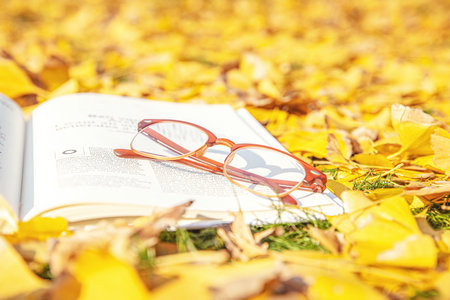 上海理工大學(xué)MEM分?jǐn)?shù)線公布時(shí)間