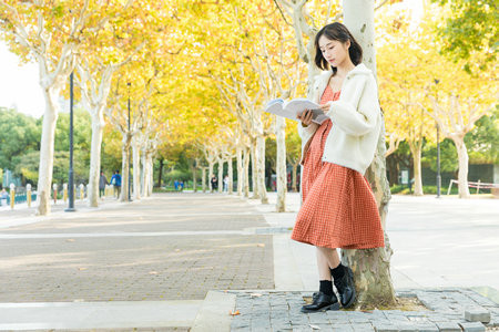 河南師范大學MPA分數線什么時候出?