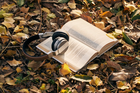 蘭州大學(xué)金融專碩調(diào)劑時(shí)間及流程 蘭州大學(xué)金融專碩調(diào)劑時(shí)間及流程