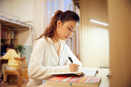 山西財經大學MEM調劑什么時候開始？