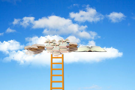 上海財經大學專業碩士