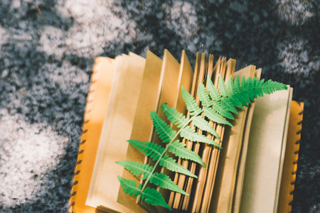   江西師大專業碩士熱門招生專業