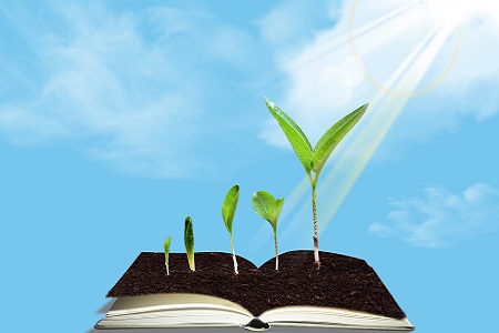 非全日制研究生