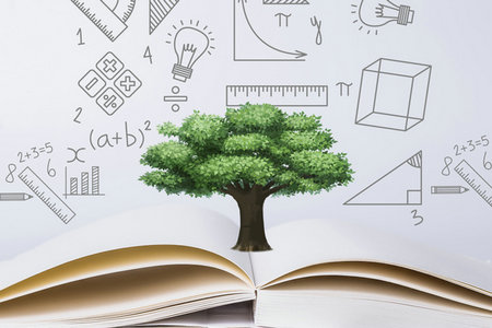 西南財經(jīng)大學(xué)專業(yè)碩士招生時間 西南財經(jīng)大學(xué)專業(yè)碩士招生時間