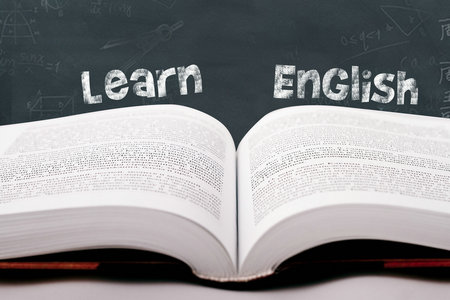 法國布雷斯特商學(xué)院在職研究生正在進行招生的專業(yè)