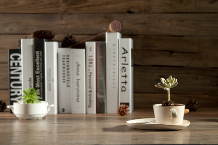 上海財經大學非全日制研究生招生方向