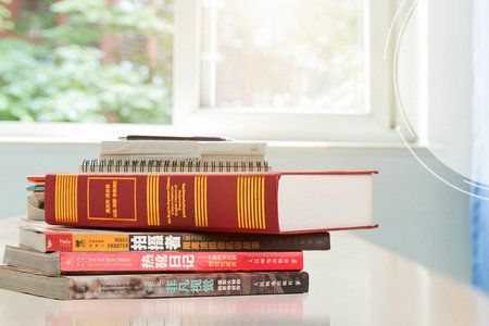 法國里昂商學院中外合作辦學招生專業