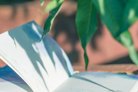 西南交通大學在職研究生四川地區招生情況 西南交通大學在職研究生四川地區招生情況