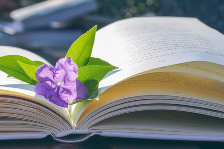 華東交通大學在職研究生浙江地區(qū)招生情況 華東交通大學在職研究生浙江地區(qū)招生情況