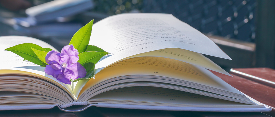 山東大學專業碩士招生專業匯總 山東大學專業碩士招生專業匯總