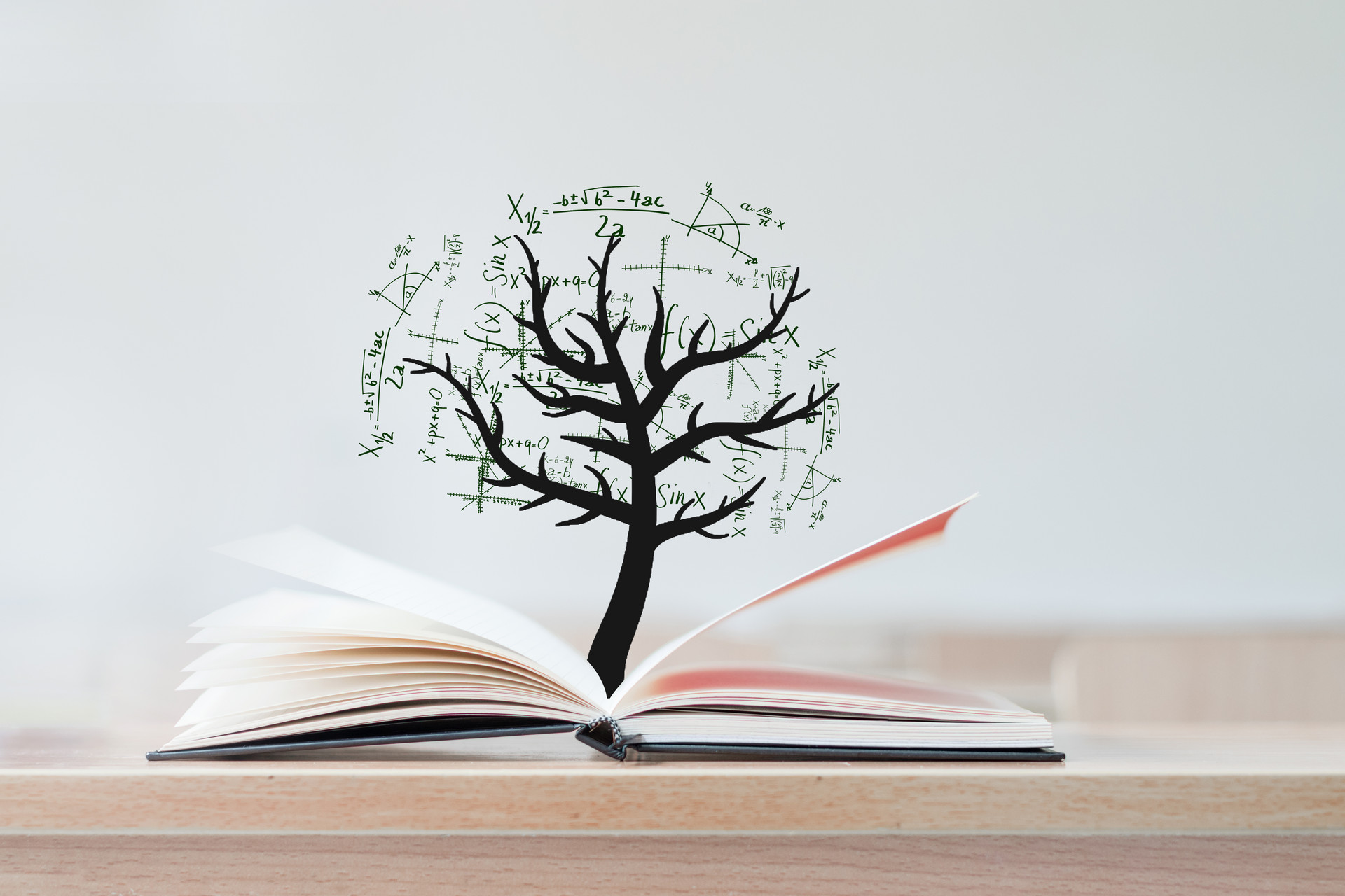 廈門大學在職研究生 廈門大學在職研究生