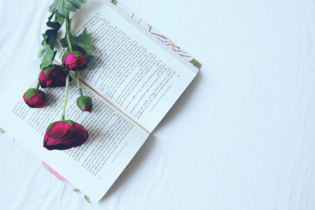 經(jīng)濟學在職研究生