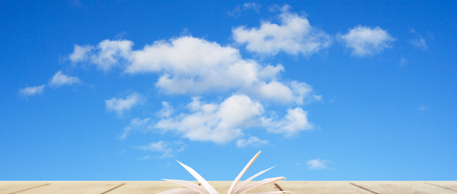 中國農業大學MBA招生方向