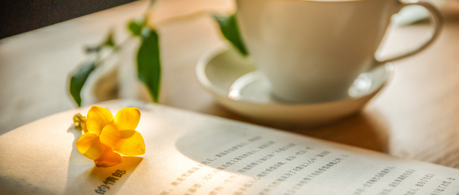 中央民族大學金融專碩招生方向