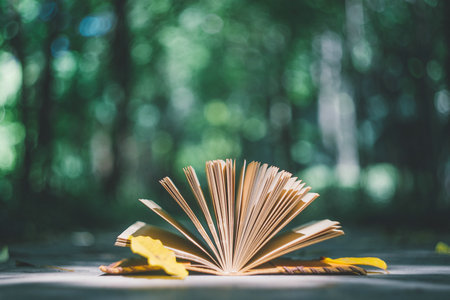 安徽大學MPA招生信息 安徽大學MPA招生信息