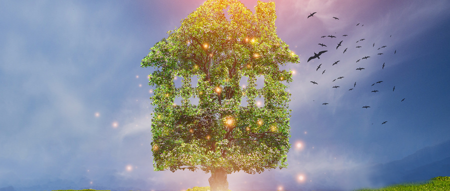 中南大學(xué)同等學(xué)力 中南大學(xué)同等學(xué)力