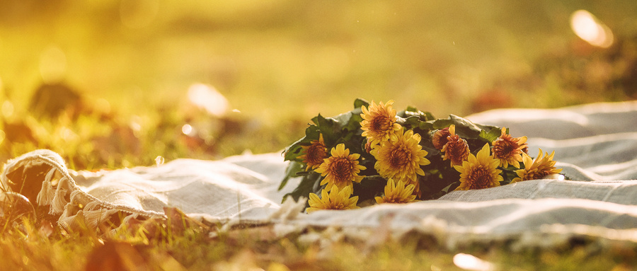 黑龍江八一農墾大學MPAcc招生動態 黑龍江八一農墾大學MPAcc招生動態