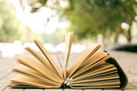 安徽農業大學在職研究生招生條件