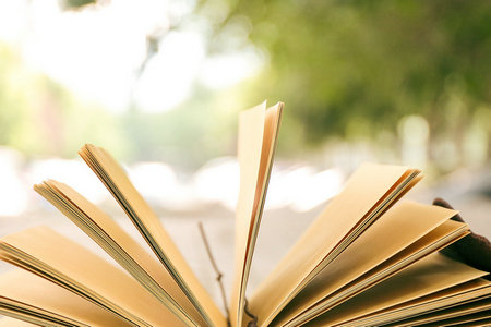 湖北美術學院在職研究生招生流程 湖北美術學院在職研究生招生流程