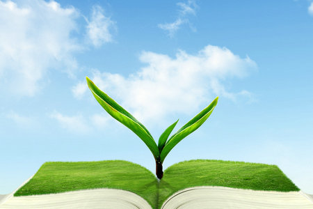 長江大學同等學力招生條件 長江大學同等學力招生條件