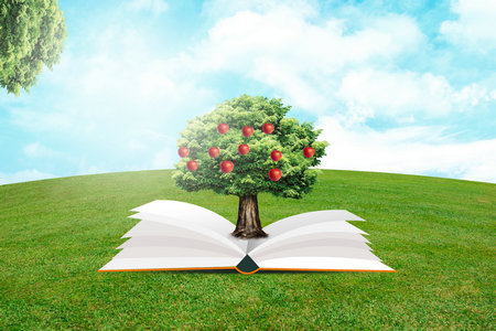 農業(yè)大學農業(yè)管理碩士非全日制研究生招生詳情