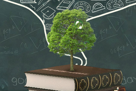 中山大學同等學力招生對象