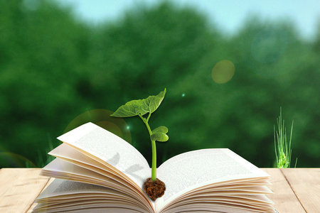 南昌大學(xué)中國(guó)古典文獻(xiàn)學(xué)同等學(xué)力招生信息