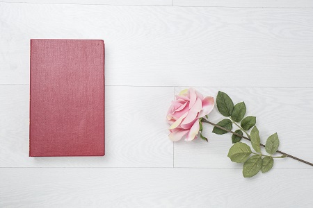 提前了解！西北政法大學(xué)在職研究生招生信息