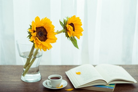 時間安排！上海對外經貿大學專業碩士招生時間