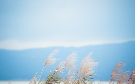 西北大學(xué)專業(yè)碩士熱門招生專業(yè)推薦! 西北大學(xué)專業(yè)碩士熱門招生專業(yè)推薦!